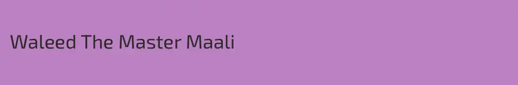 Waleed The Master Maali